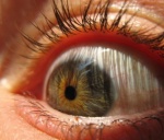 102809 blindness eyeball