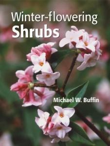 Winter Flowering Shrubs by Michael Buffin